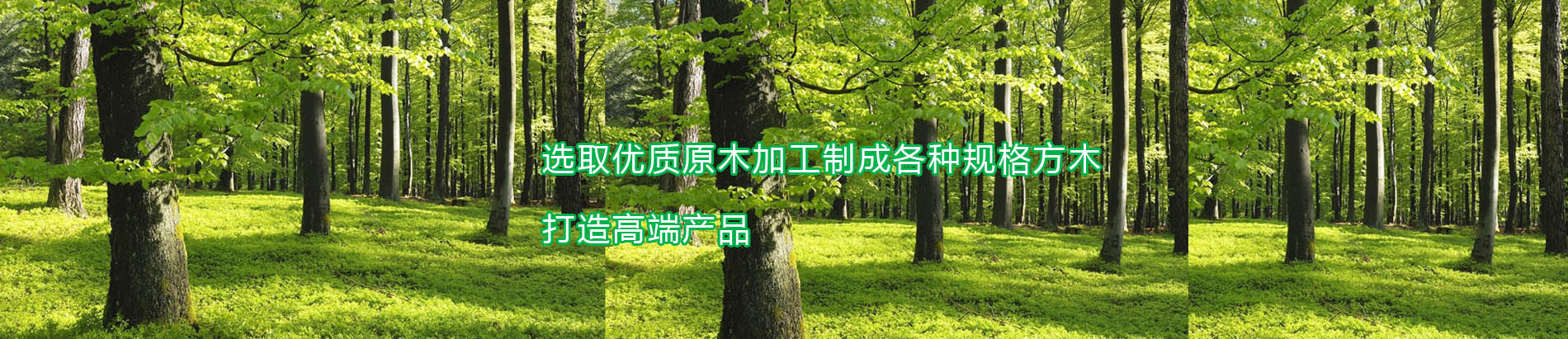 日照蜜桃视频APP色版木業有限公司